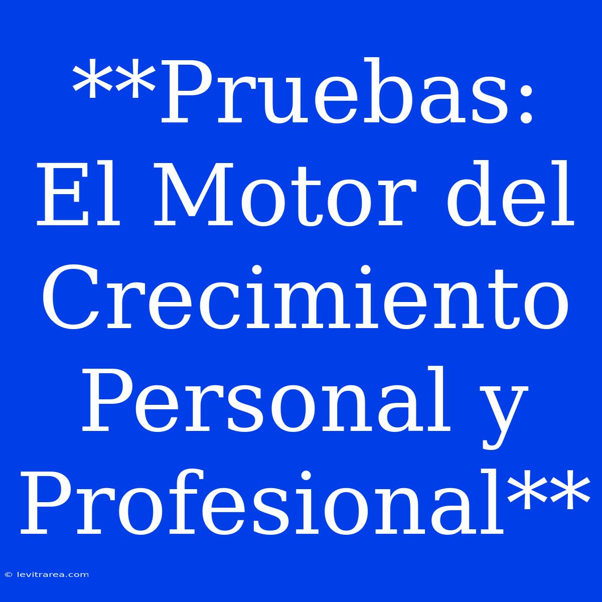 **Pruebas: El Motor Del Crecimiento Personal Y Profesional**