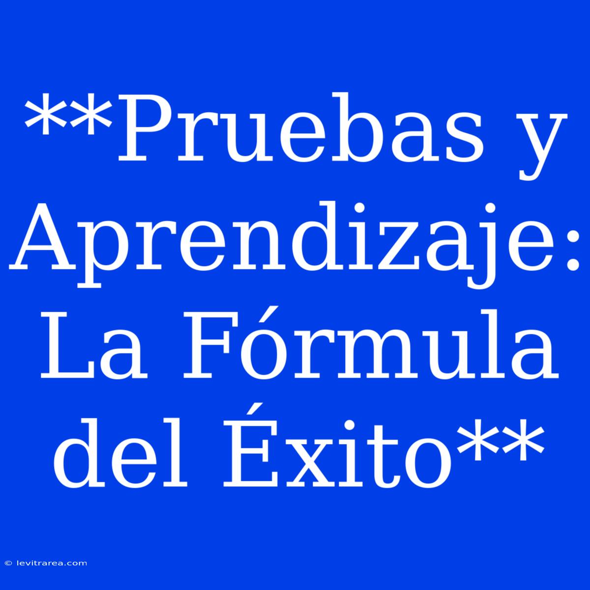 **Pruebas Y Aprendizaje: La Fórmula Del Éxito**