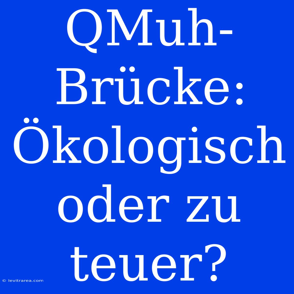 QMuh-Brücke: Ökologisch Oder Zu Teuer?