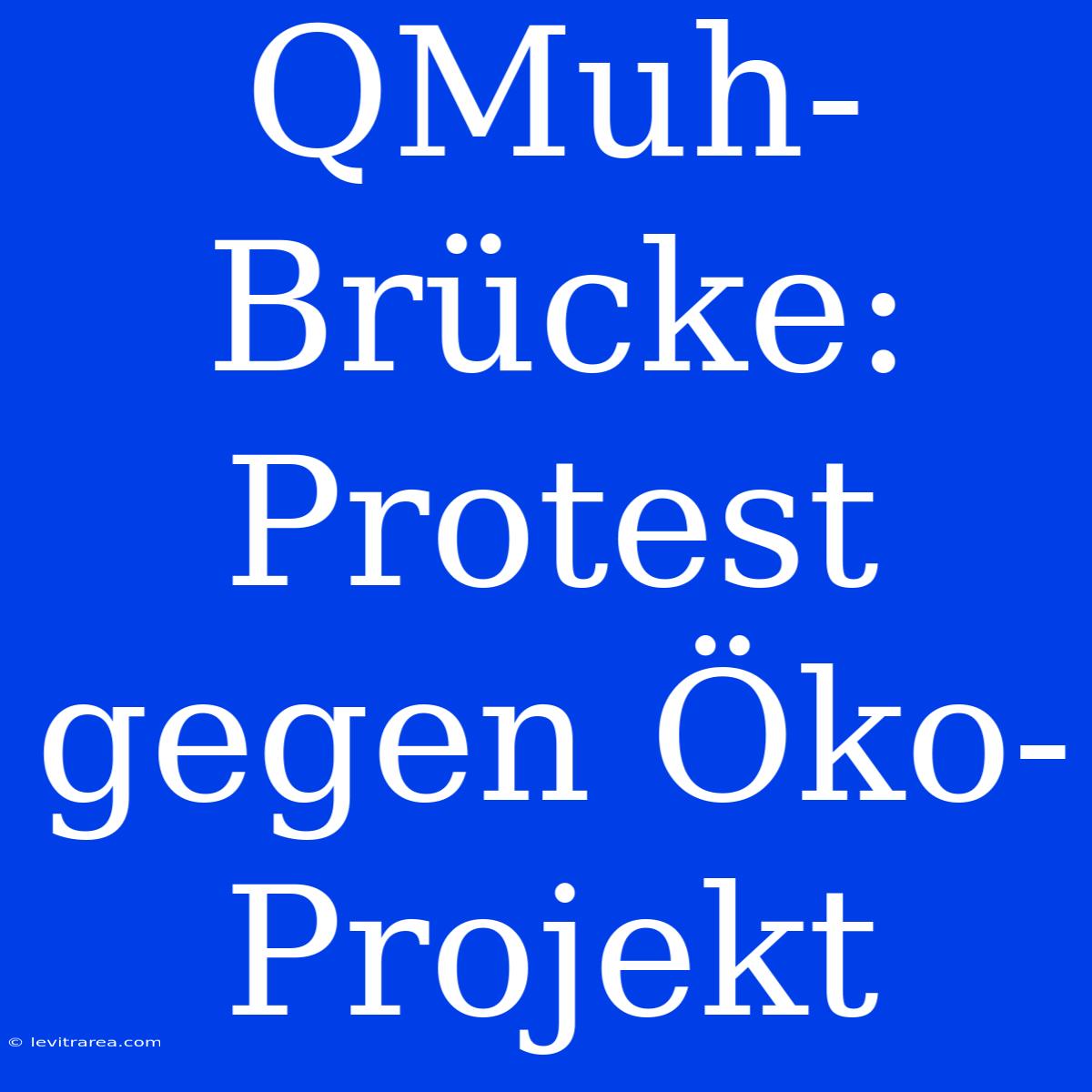 QMuh-Brücke: Protest Gegen Öko-Projekt