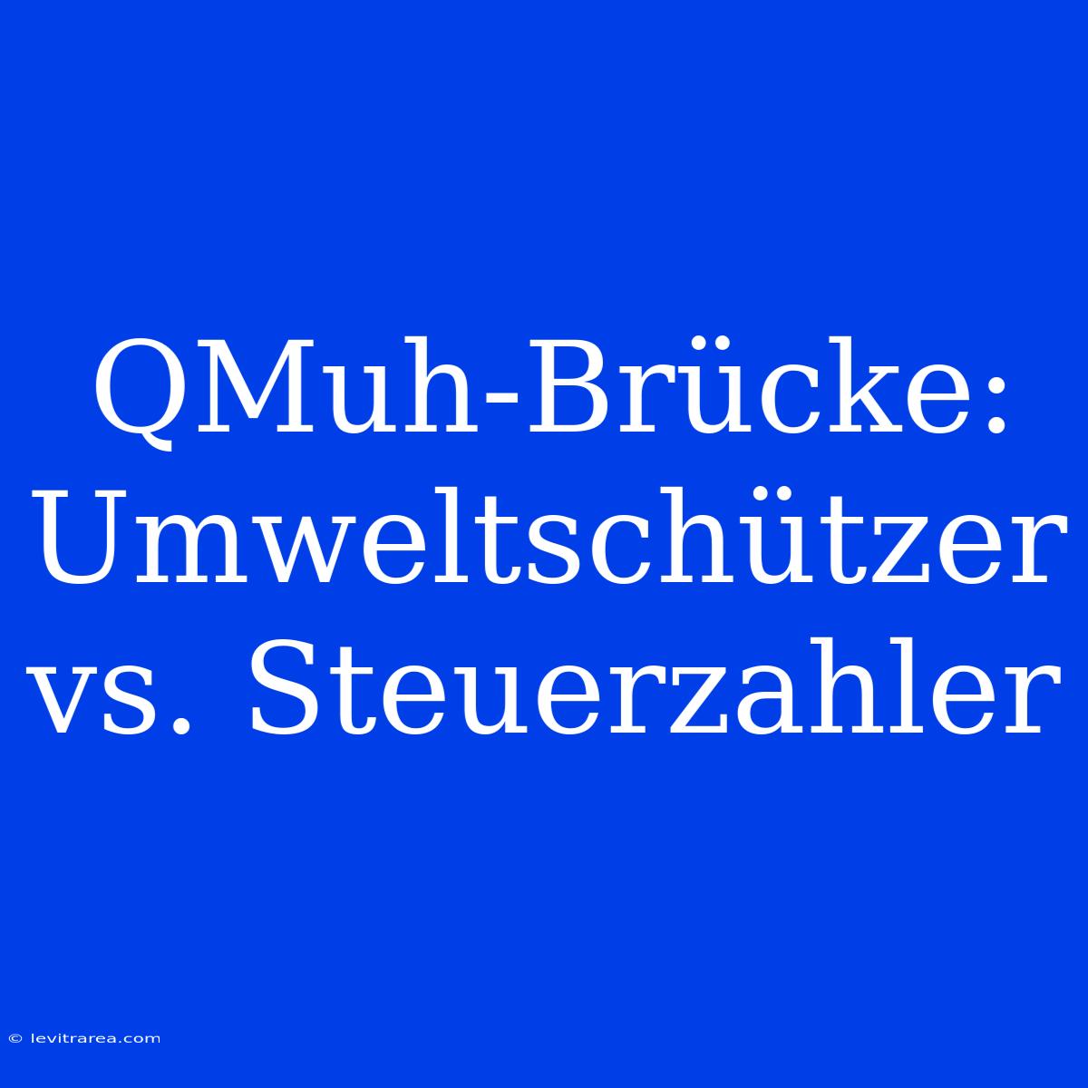 QMuh-Brücke: Umweltschützer Vs. Steuerzahler