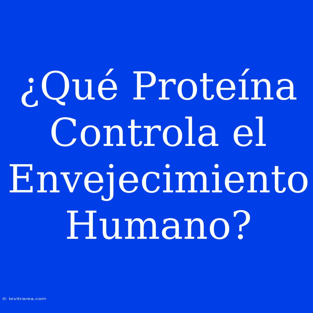 ¿Qué Proteína Controla El Envejecimiento Humano?