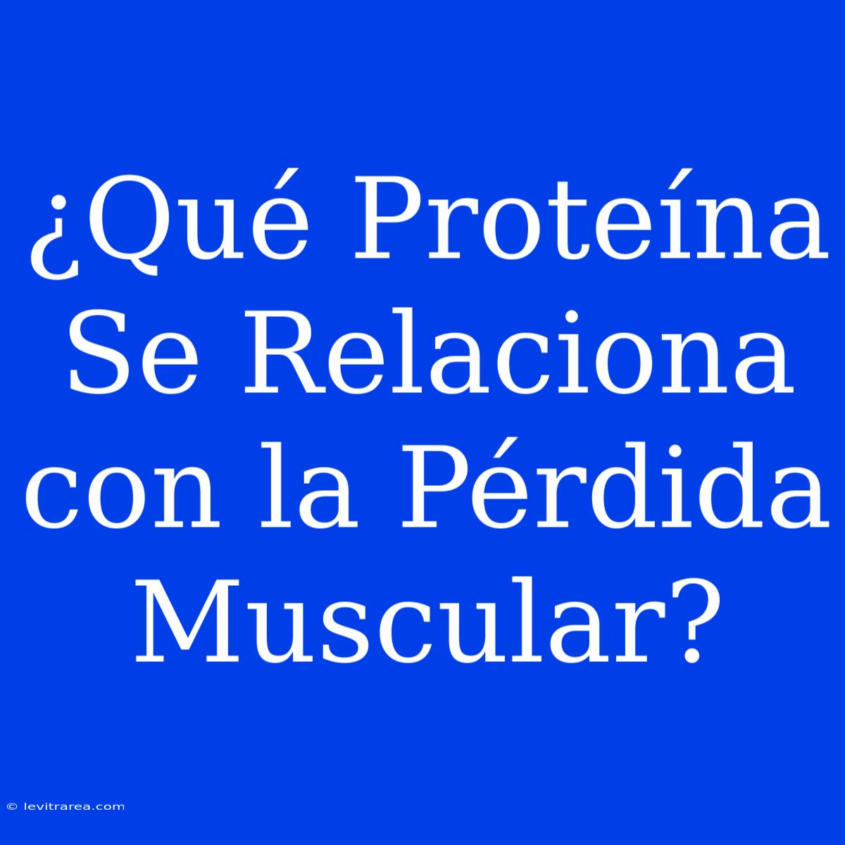 ¿Qué Proteína Se Relaciona Con La Pérdida Muscular?