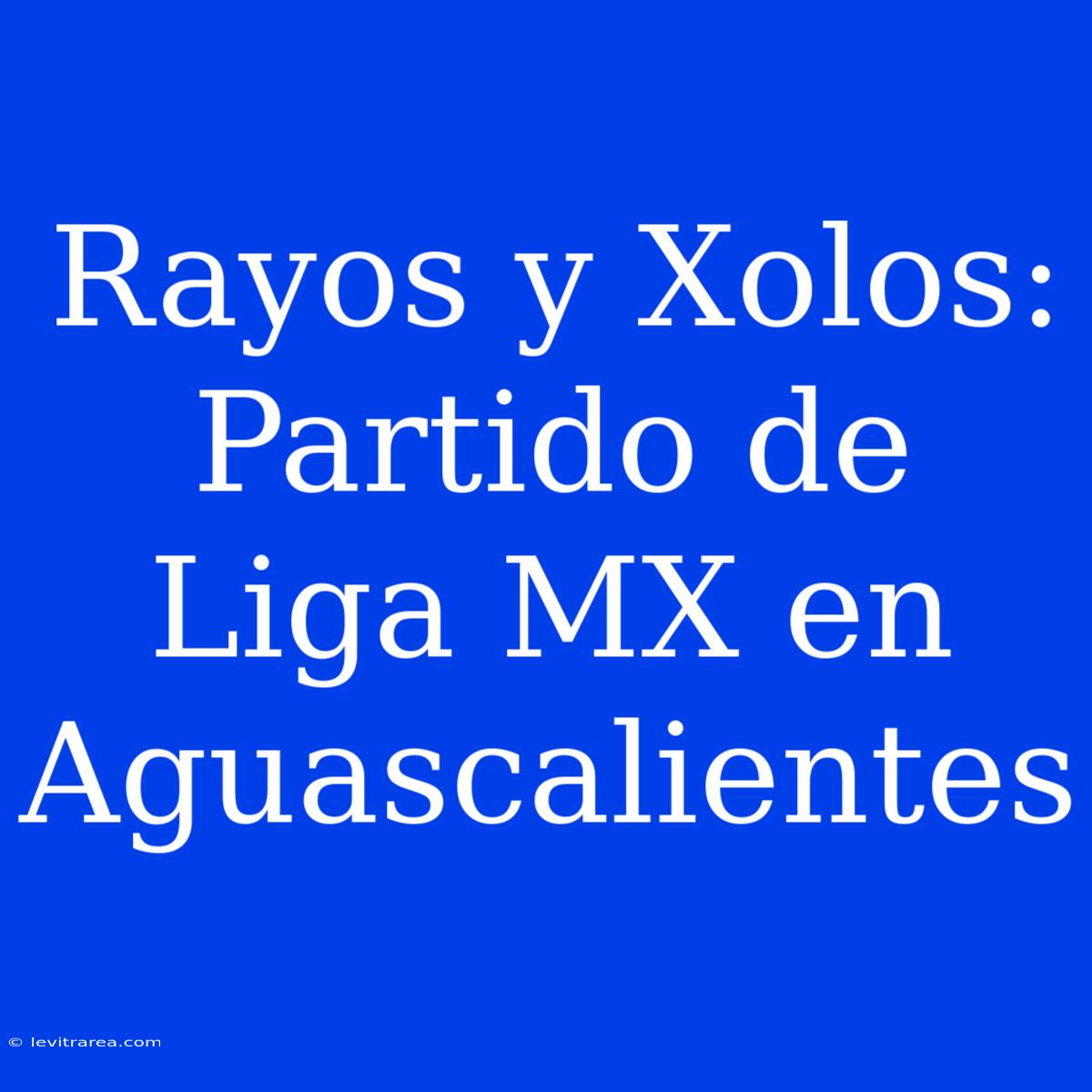 Rayos Y Xolos: Partido De Liga MX En Aguascalientes