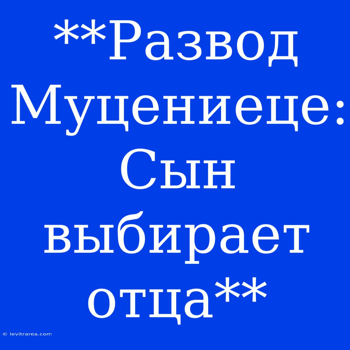 **Развод Муцениеце: Сын Выбирает Отца**