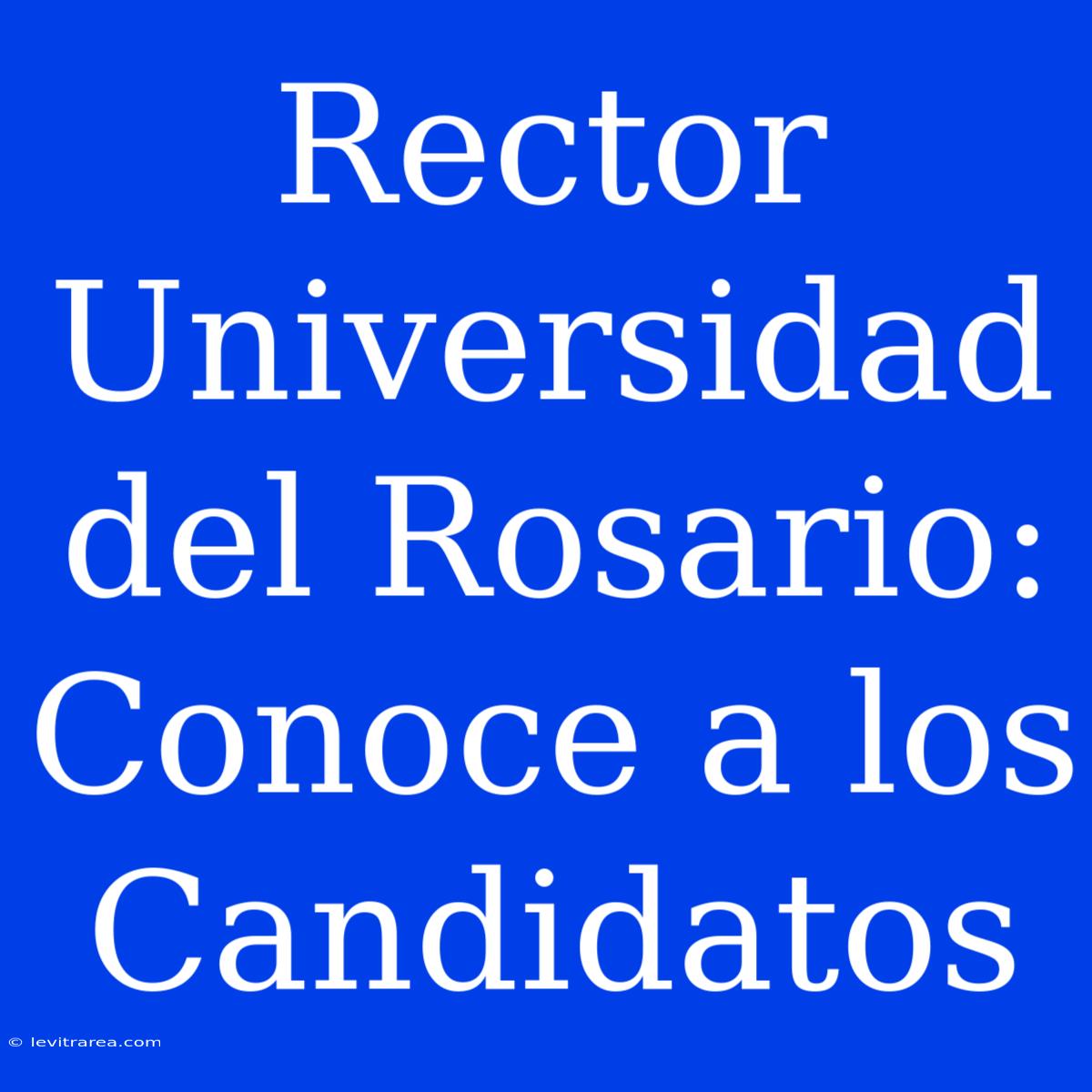 Rector Universidad Del Rosario: Conoce A Los Candidatos