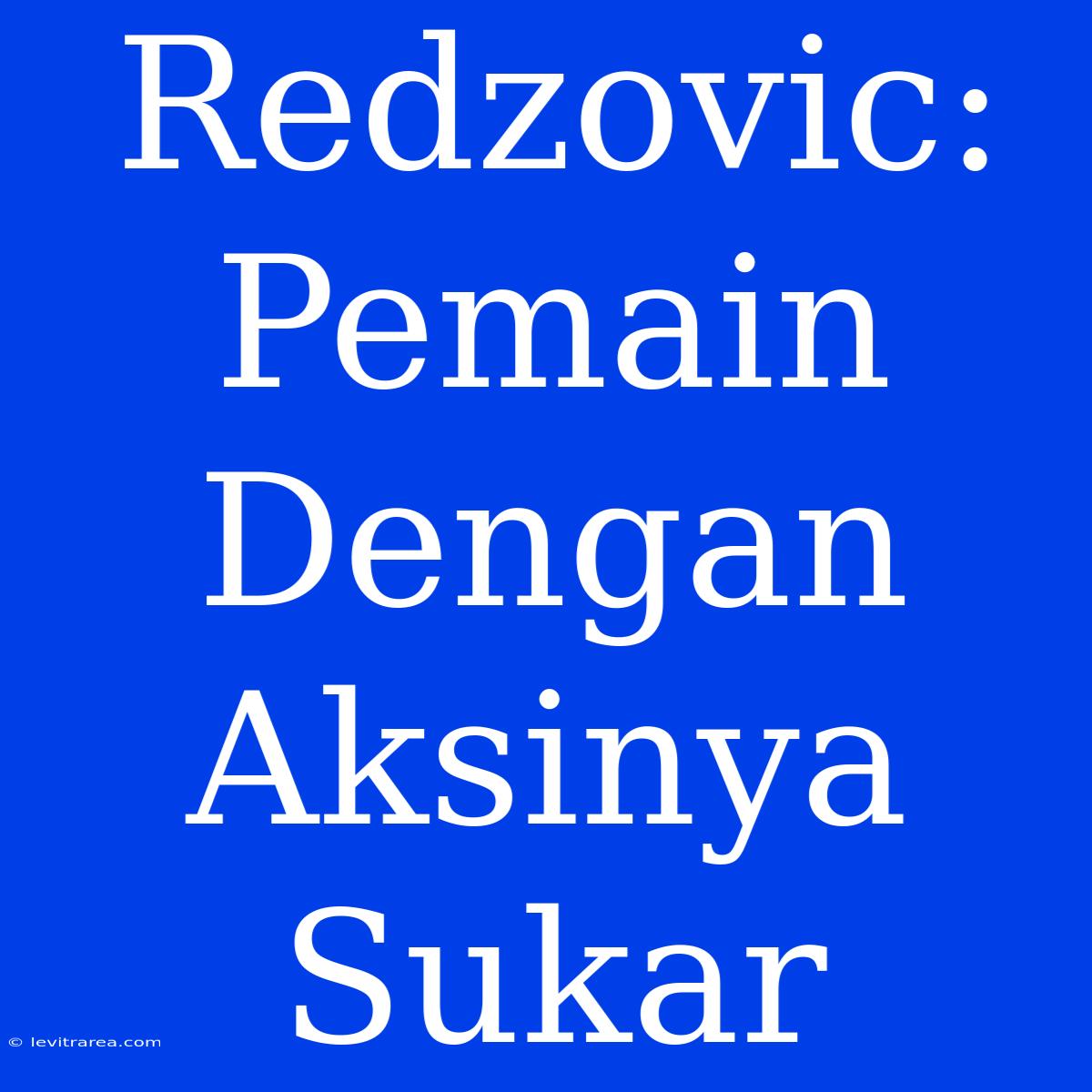 Redzovic: Pemain Dengan Aksinya Sukar