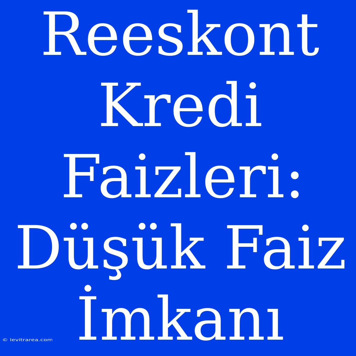 Reeskont Kredi Faizleri: Düşük Faiz İmkanı