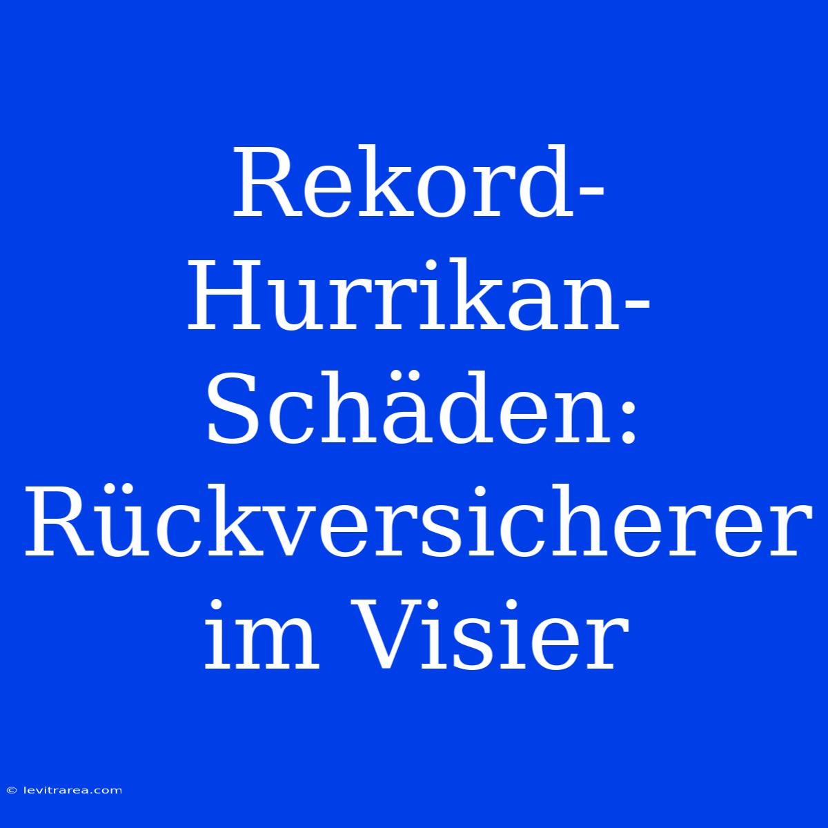 Rekord-Hurrikan-Schäden: Rückversicherer Im Visier