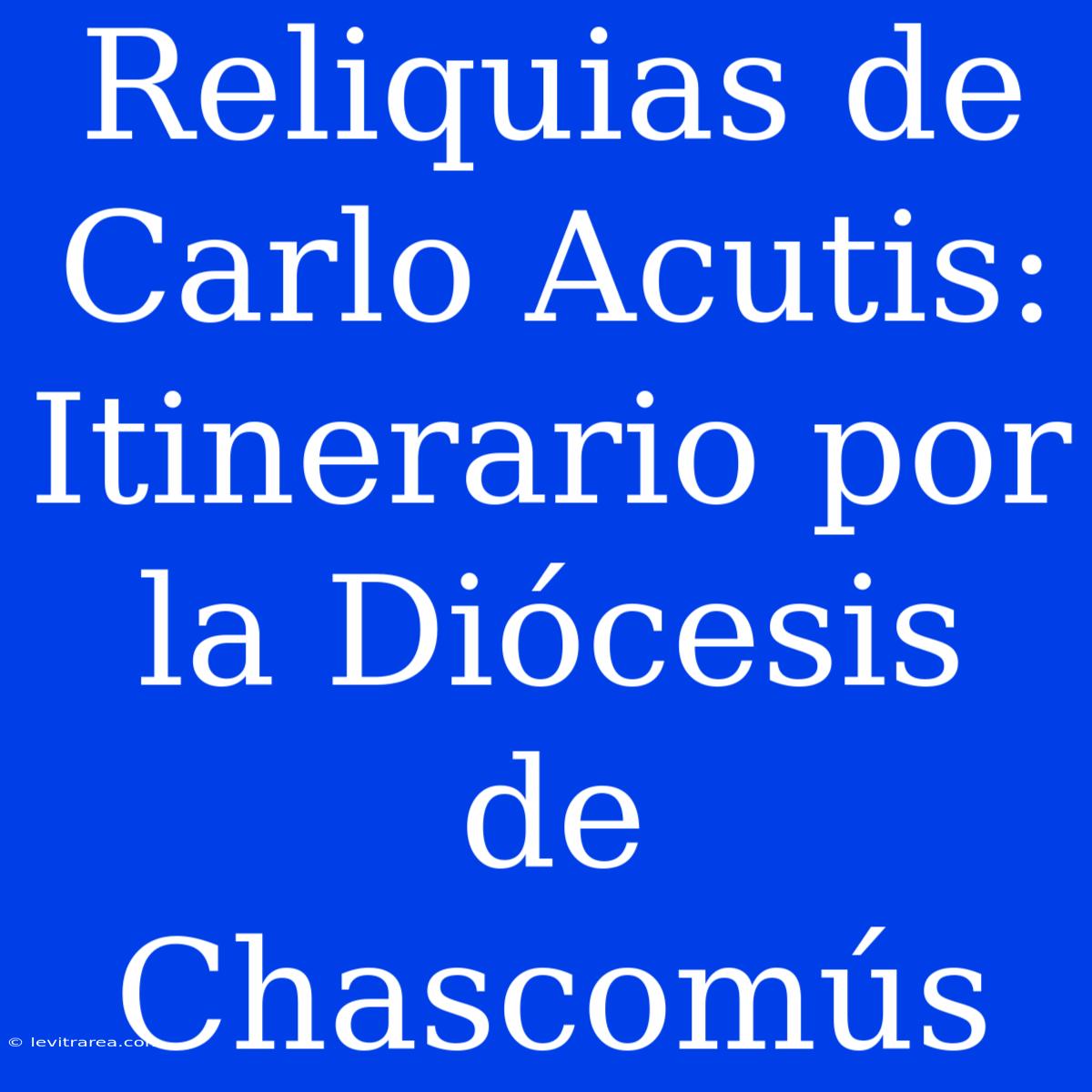 Reliquias De Carlo Acutis: Itinerario Por La Diócesis De Chascomús