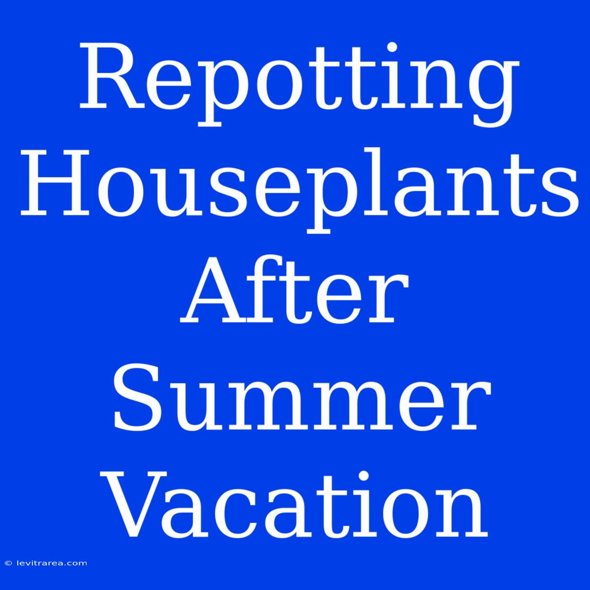 Repotting Houseplants After Summer Vacation