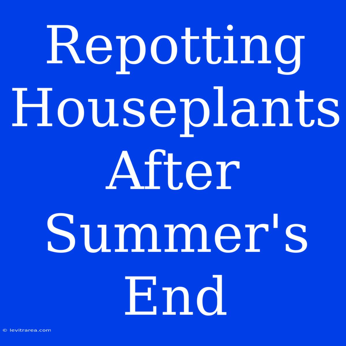 Repotting Houseplants After Summer's End