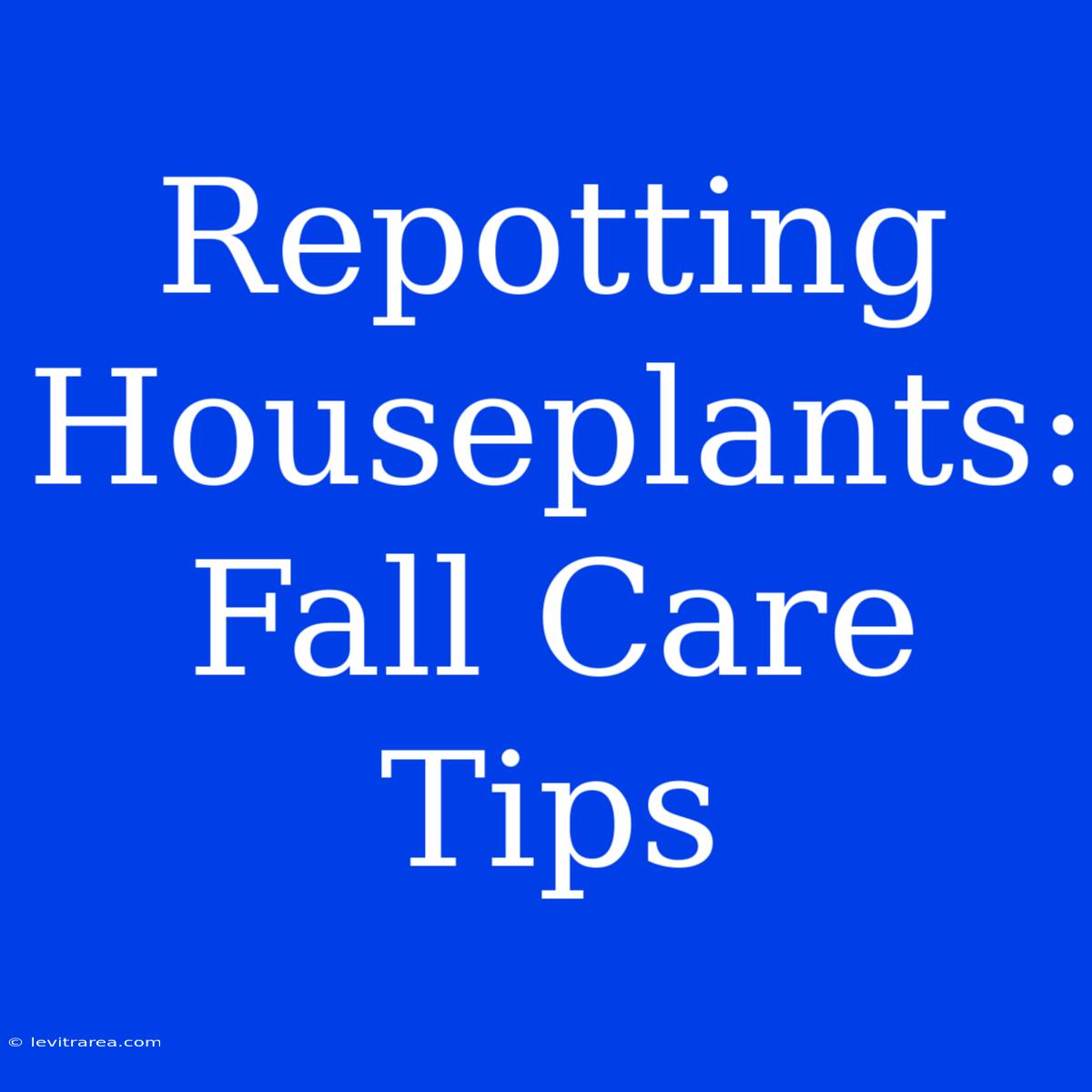 Repotting Houseplants: Fall Care Tips