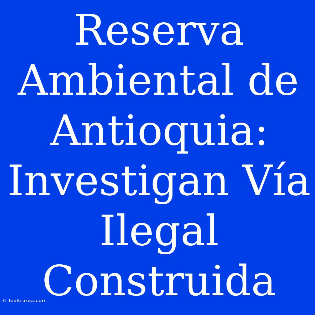 Reserva Ambiental De Antioquia: Investigan Vía Ilegal Construida