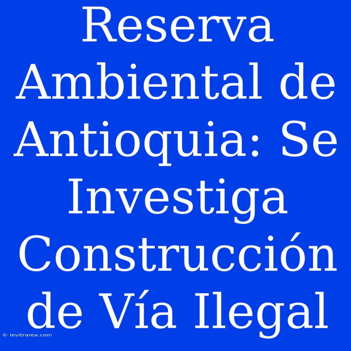 Reserva Ambiental De Antioquia: Se Investiga Construcción De Vía Ilegal