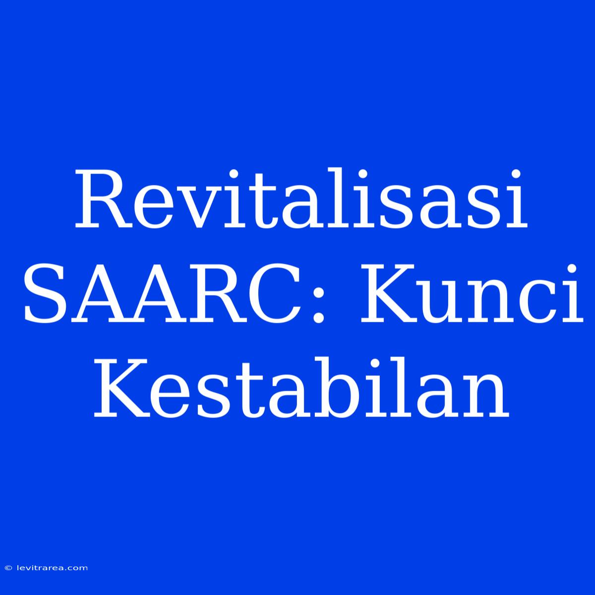 Revitalisasi SAARC: Kunci Kestabilan