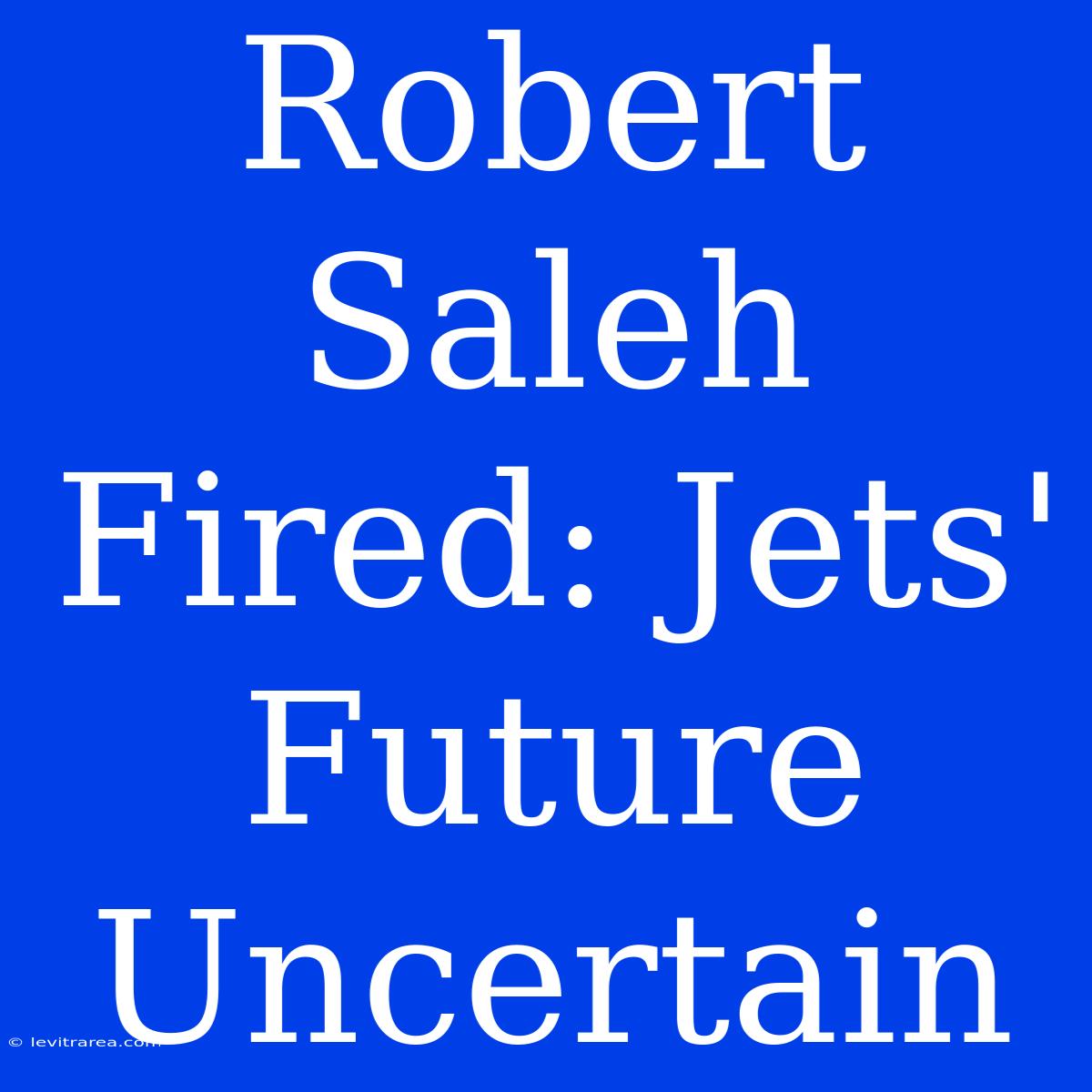 Robert Saleh Fired: Jets' Future Uncertain