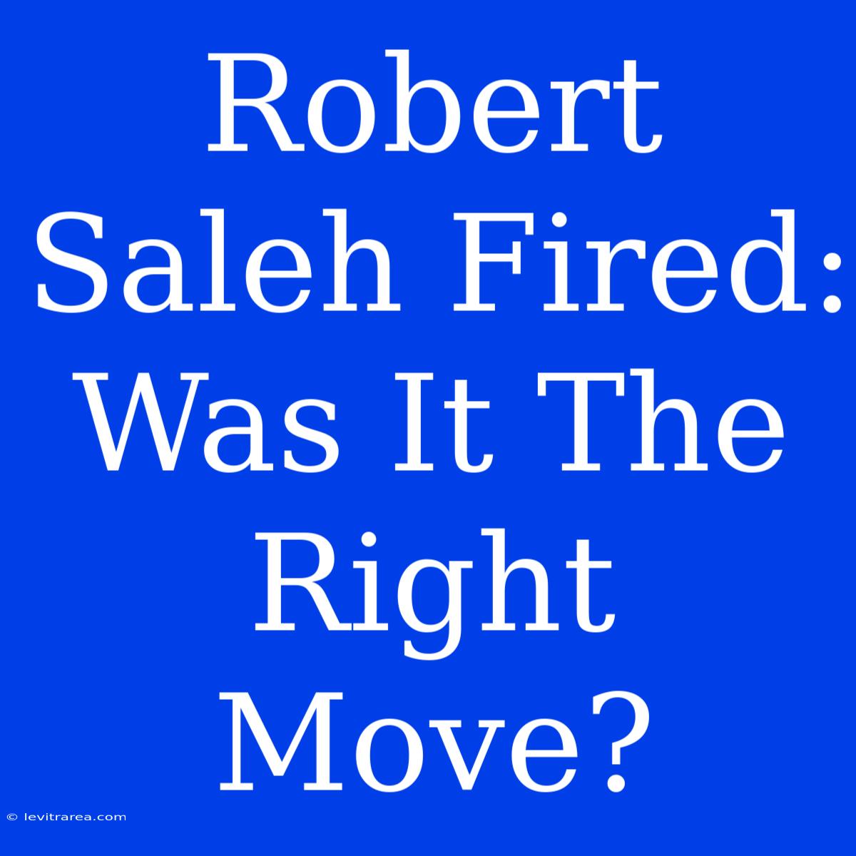 Robert Saleh Fired: Was It The Right Move?