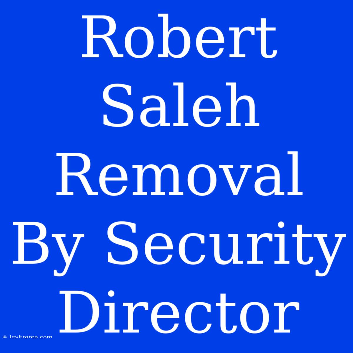 Robert Saleh Removal By Security Director 