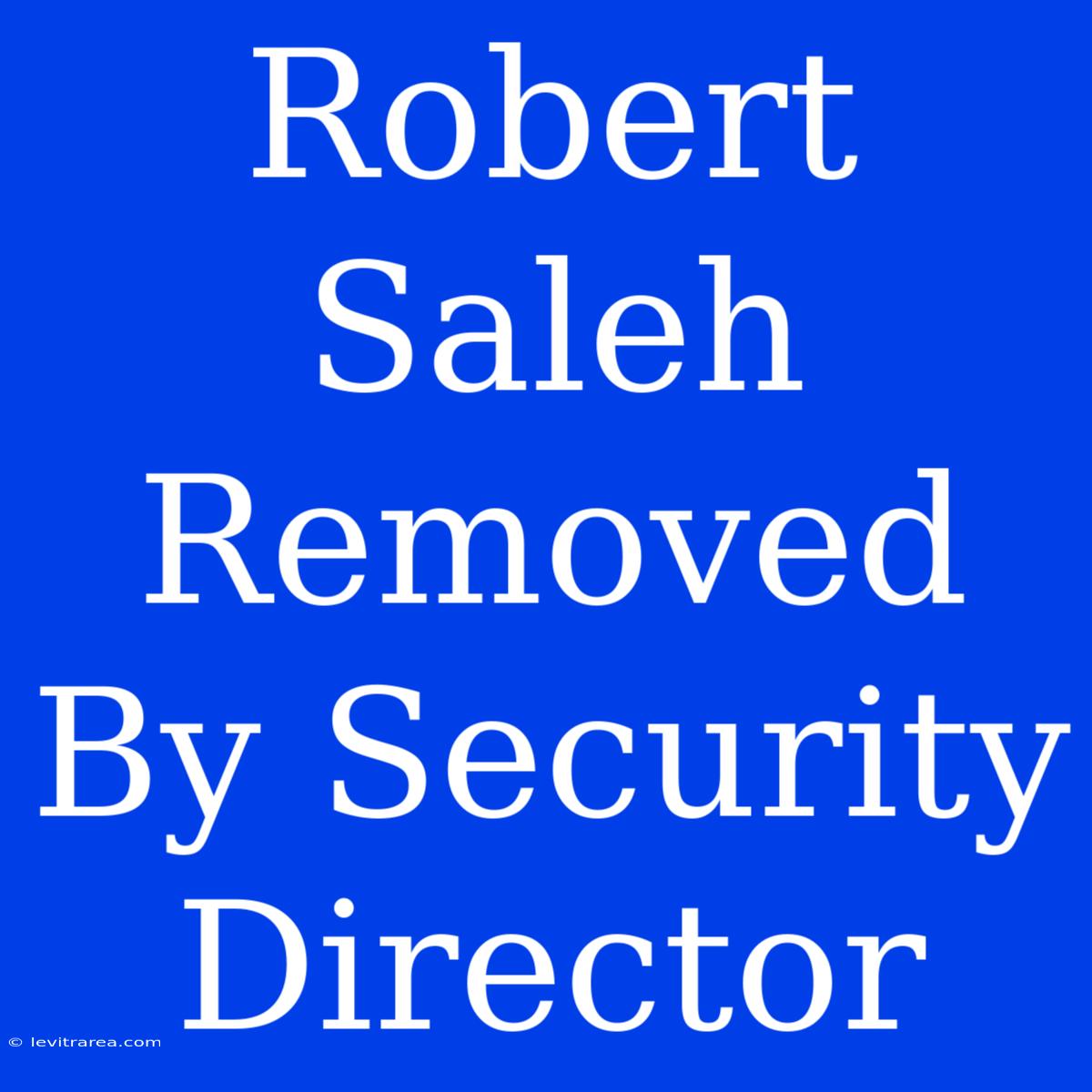 Robert Saleh Removed By Security Director