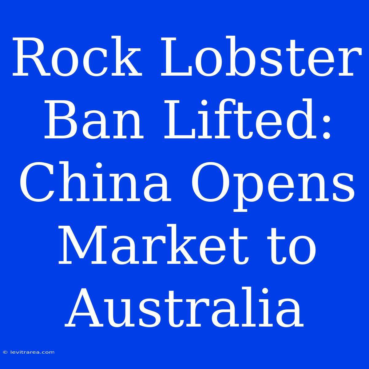 Rock Lobster Ban Lifted: China Opens Market To Australia