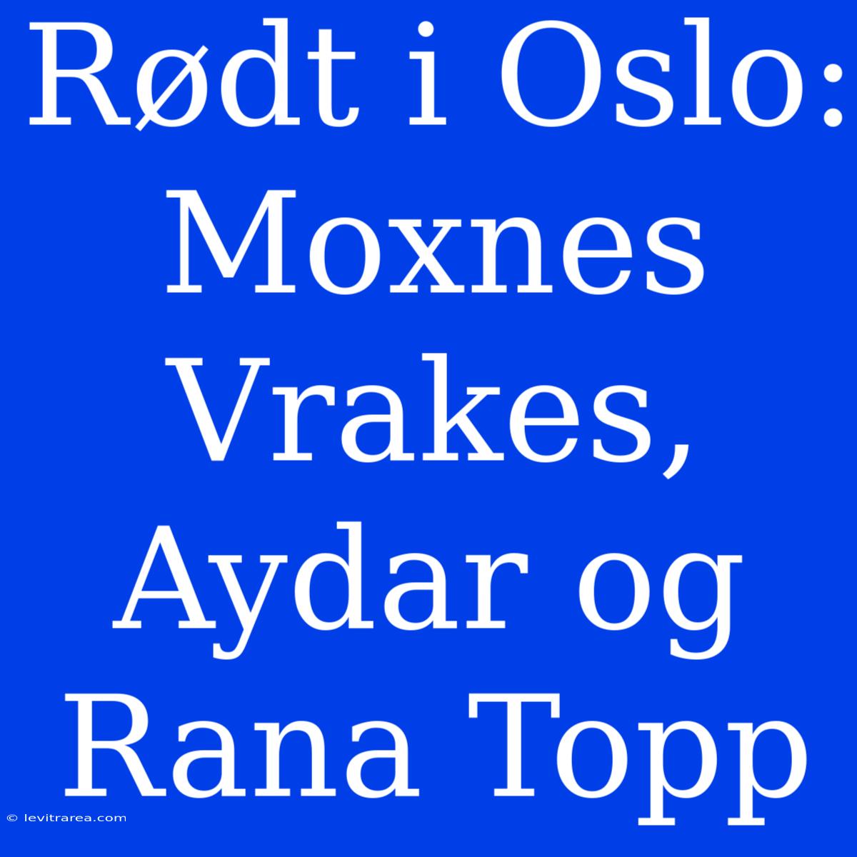 Rødt I Oslo: Moxnes Vrakes, Aydar Og Rana Topp