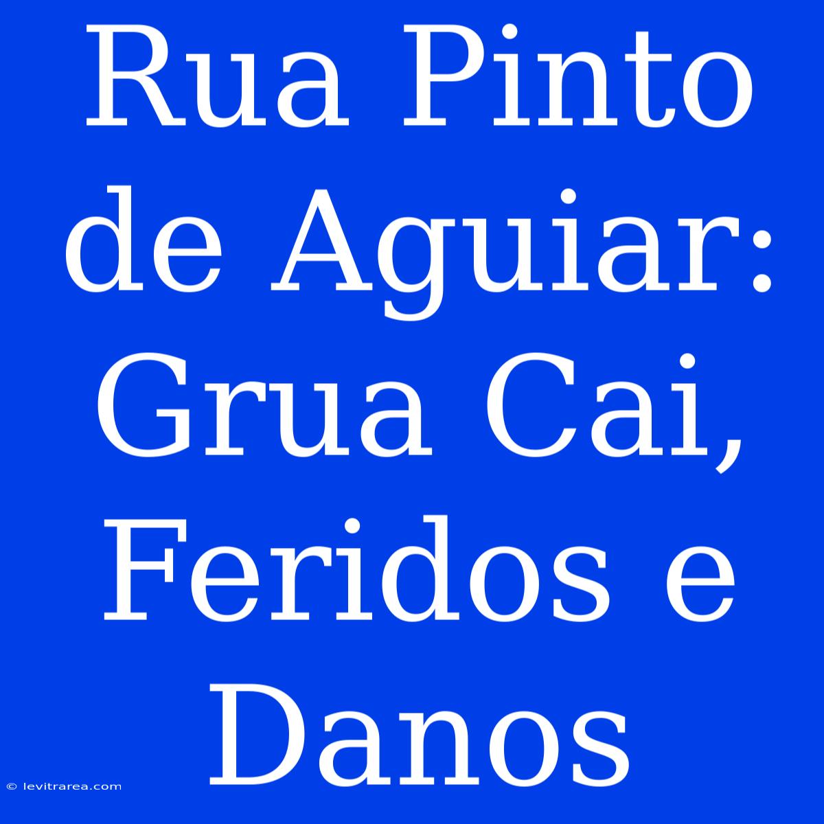 Rua Pinto De Aguiar: Grua Cai, Feridos E Danos