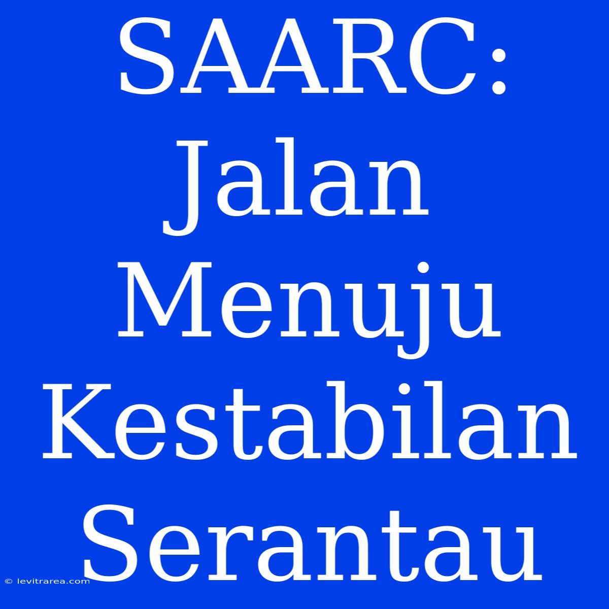 SAARC: Jalan Menuju Kestabilan Serantau