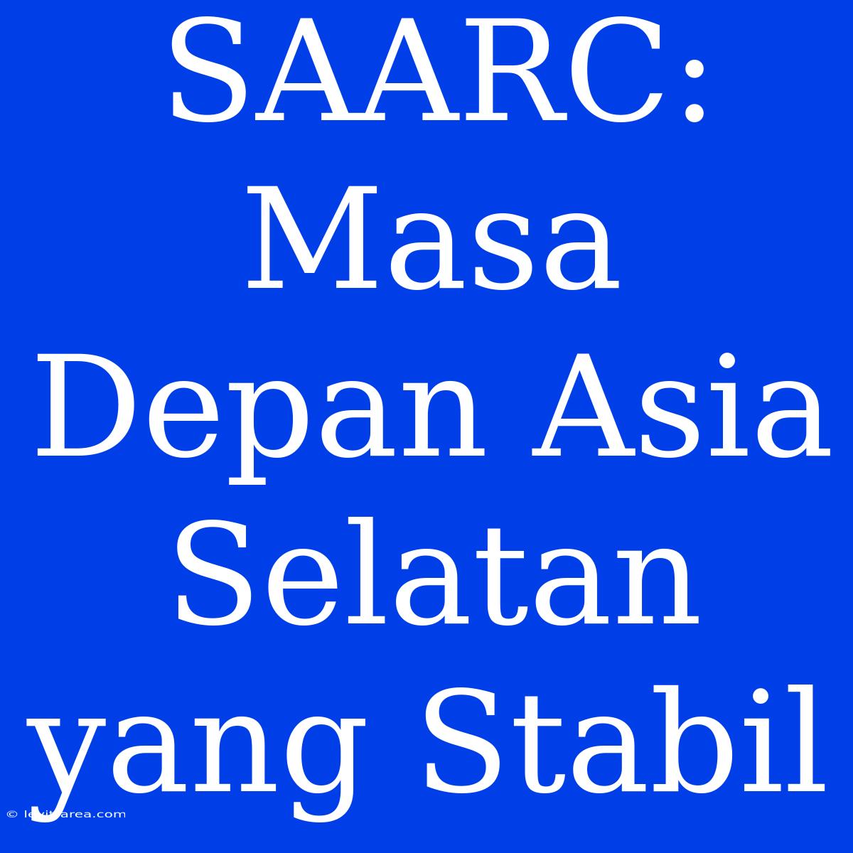 SAARC: Masa Depan Asia Selatan Yang Stabil