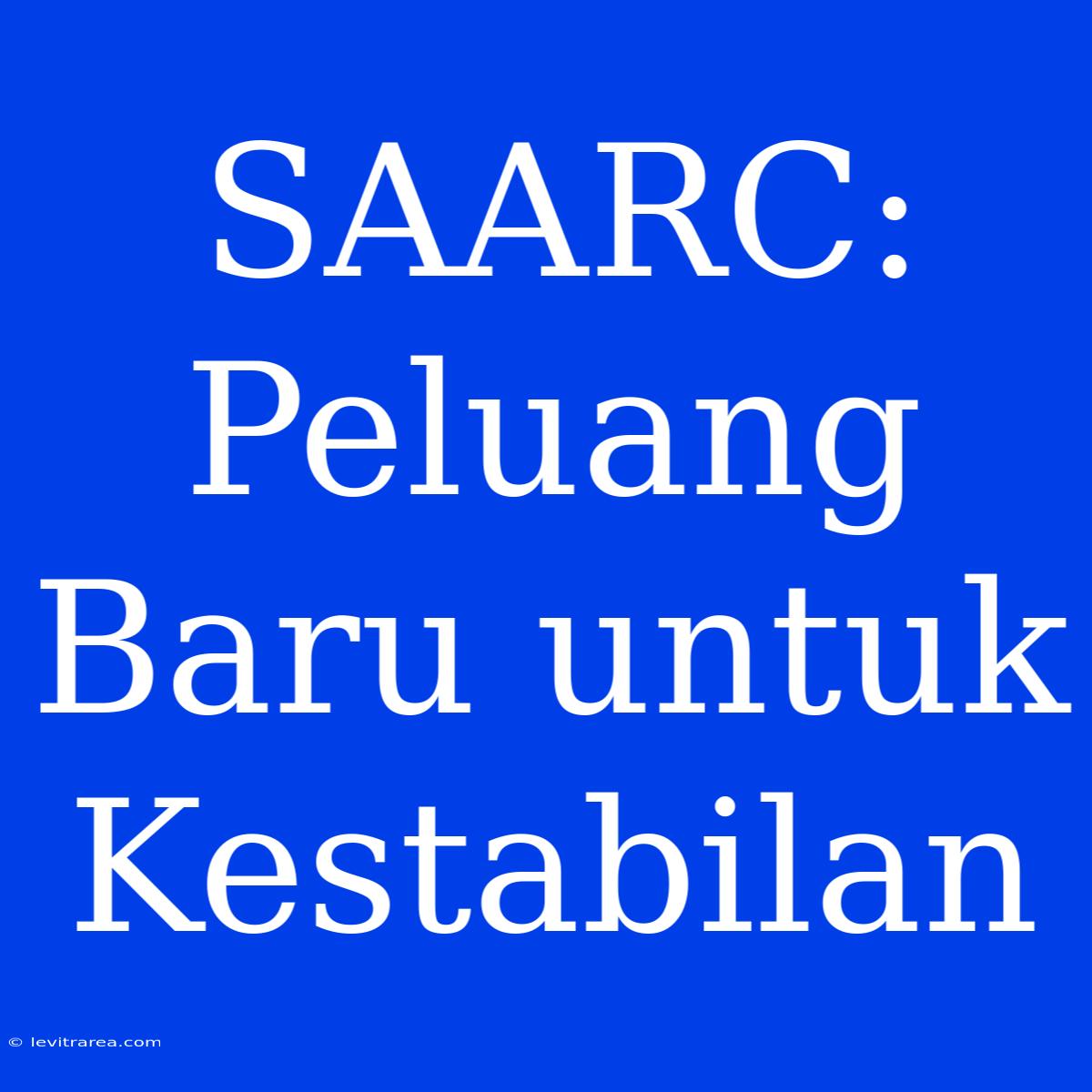 SAARC: Peluang Baru Untuk Kestabilan