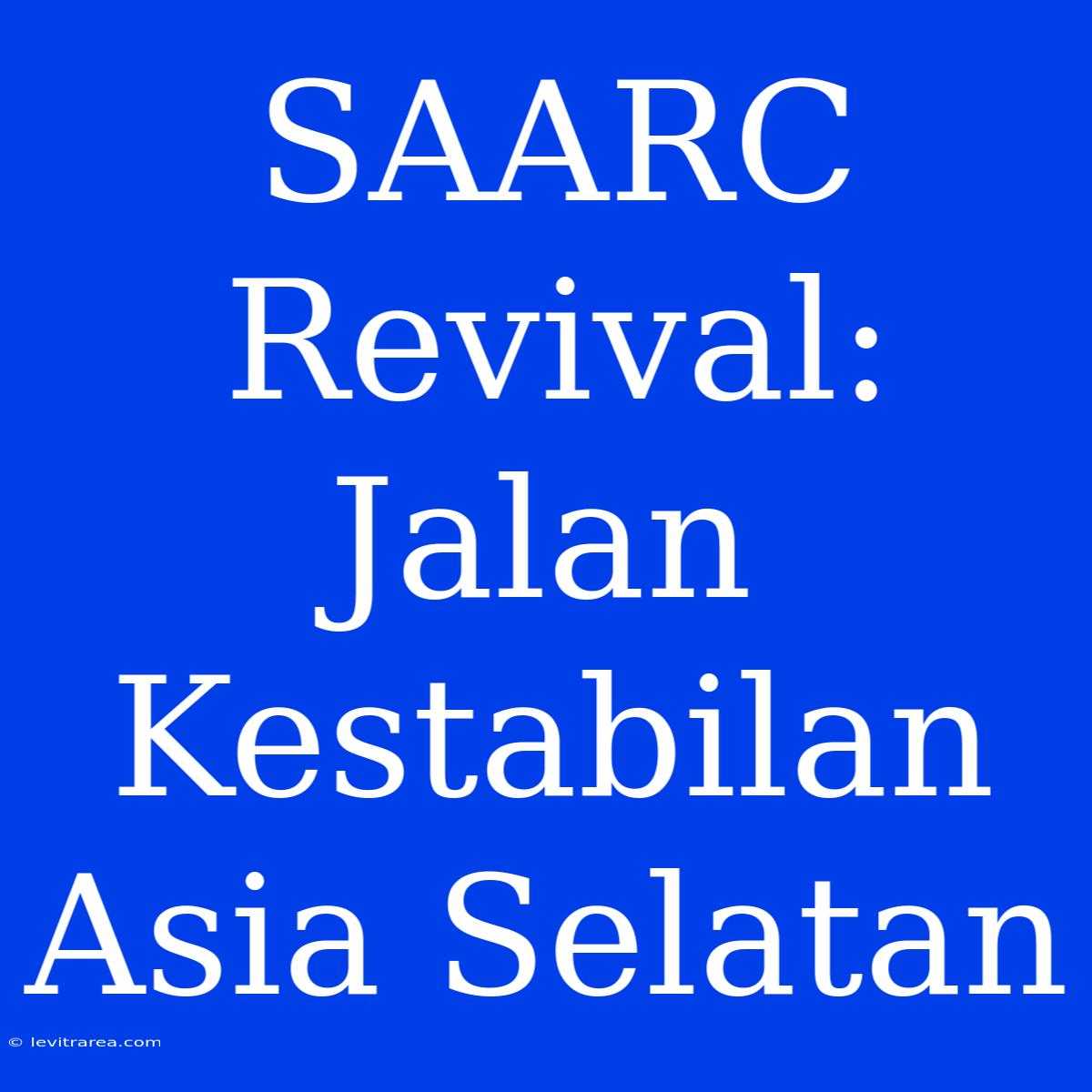 SAARC Revival: Jalan Kestabilan Asia Selatan