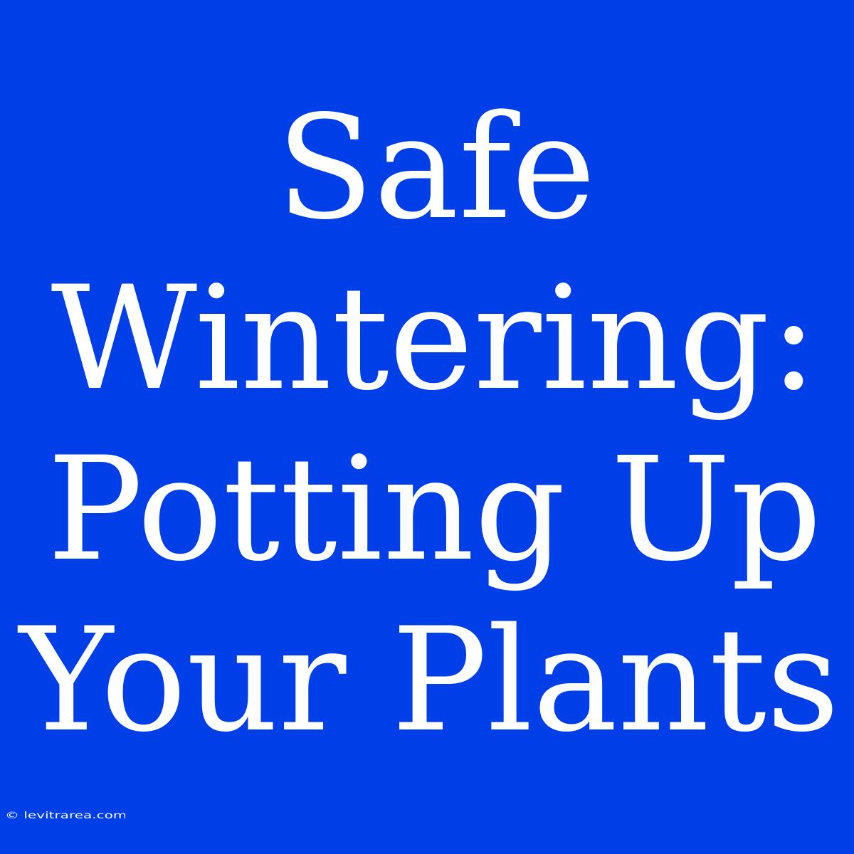 Safe Wintering: Potting Up Your Plants