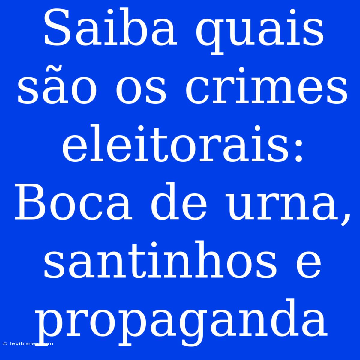 Saiba Quais São Os Crimes Eleitorais: Boca De Urna, Santinhos E Propaganda