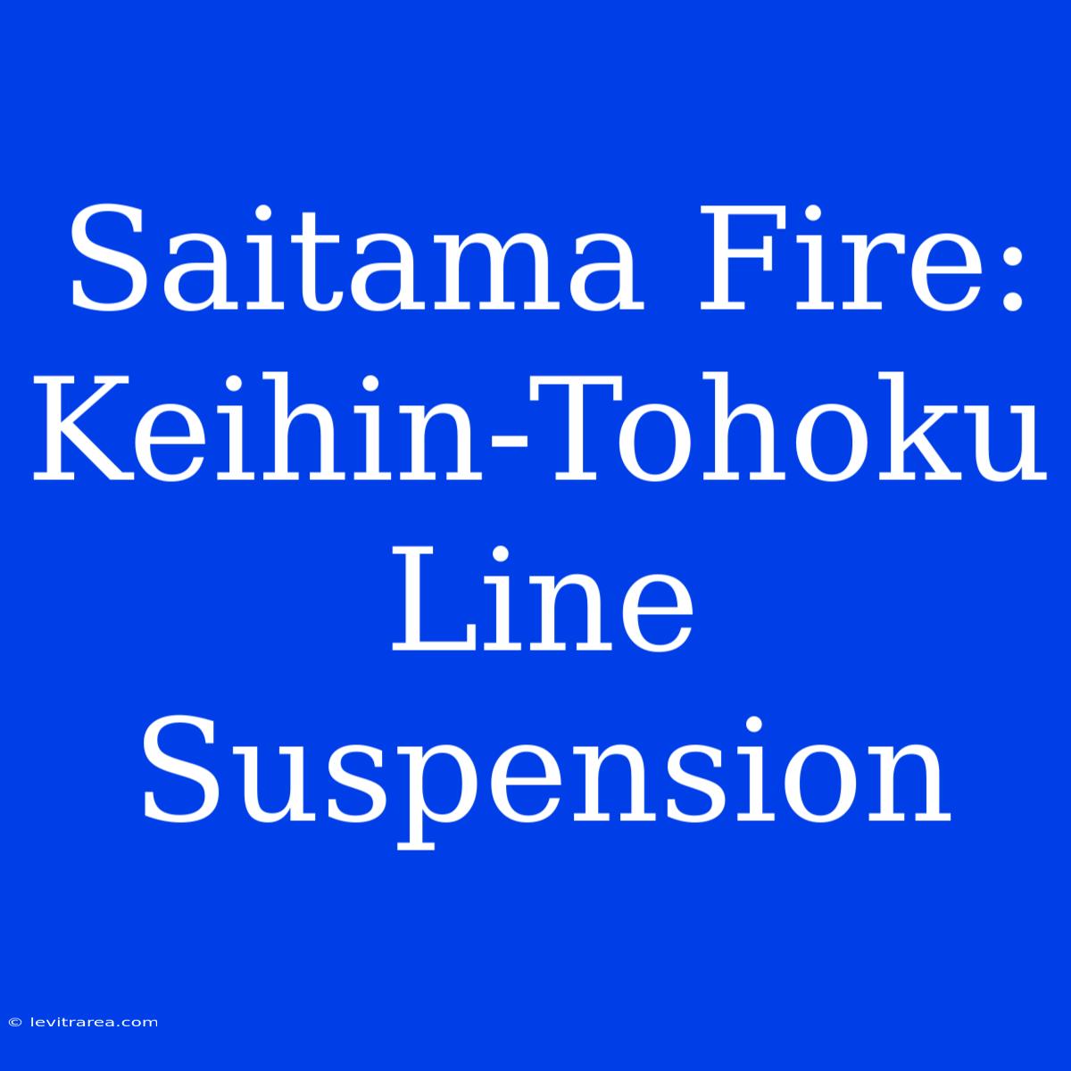 Saitama Fire: Keihin-Tohoku Line Suspension 