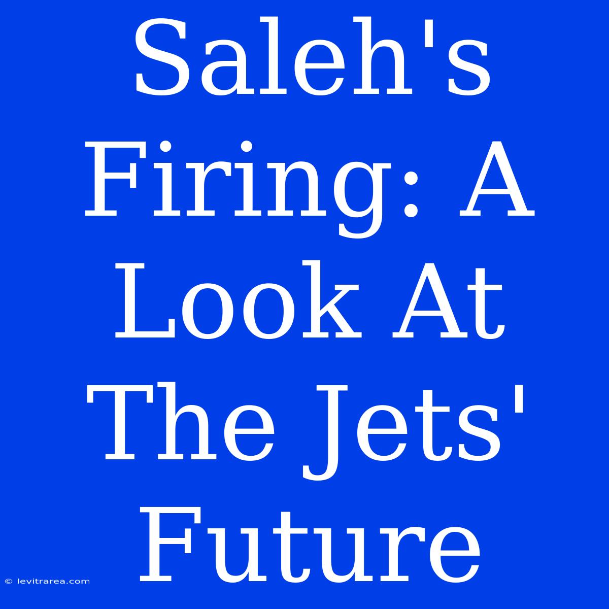 Saleh's Firing: A Look At The Jets' Future