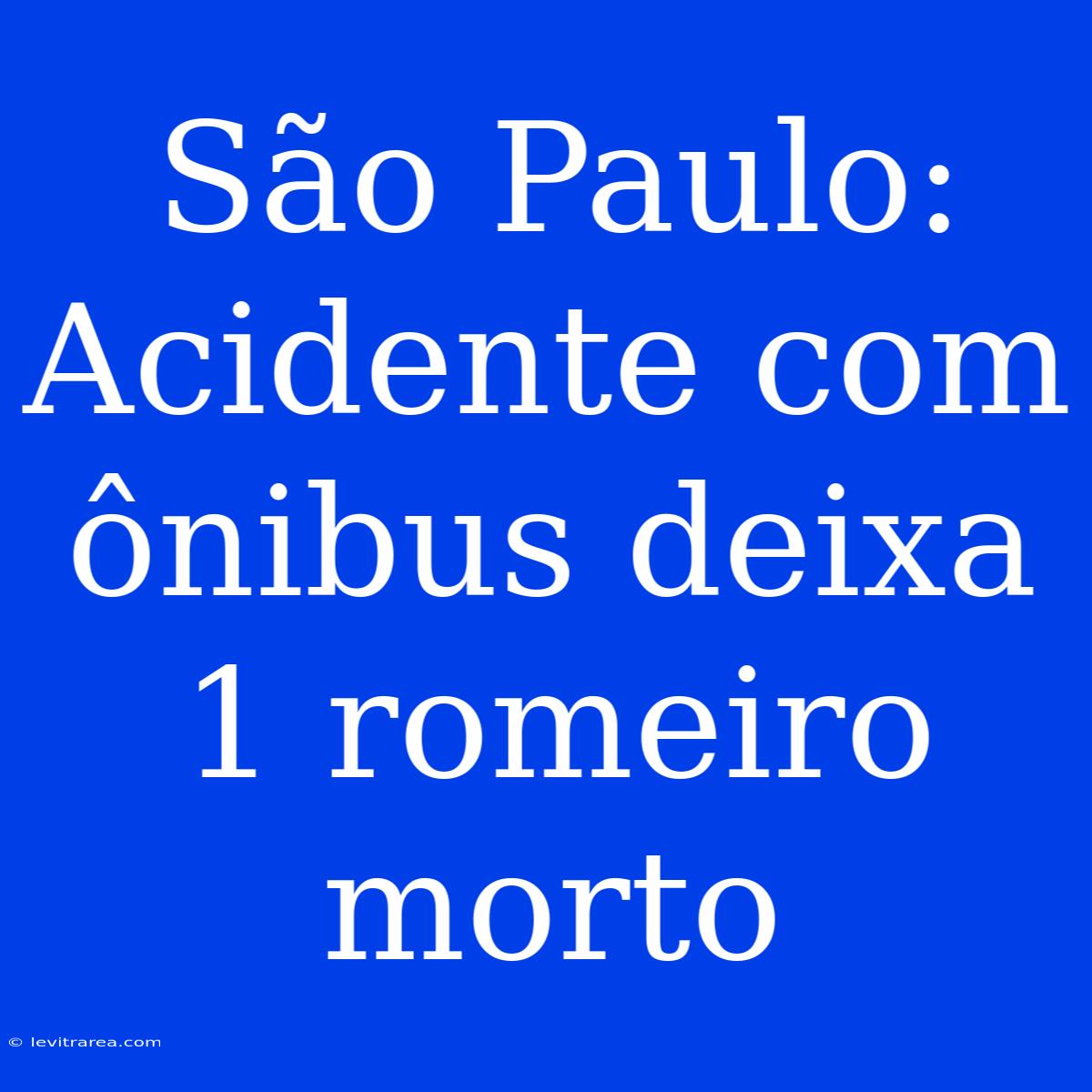 São Paulo: Acidente Com Ônibus Deixa 1 Romeiro Morto