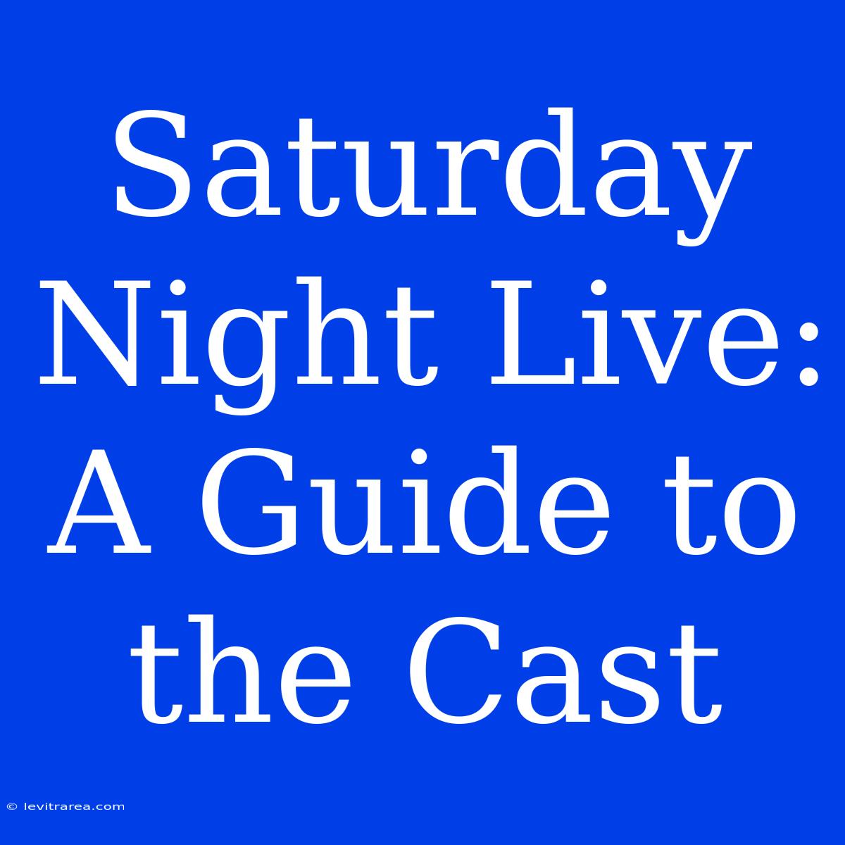 Saturday Night Live: A Guide To The Cast