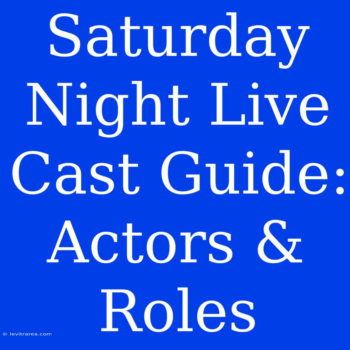 Saturday Night Live Cast Guide: Actors & Roles