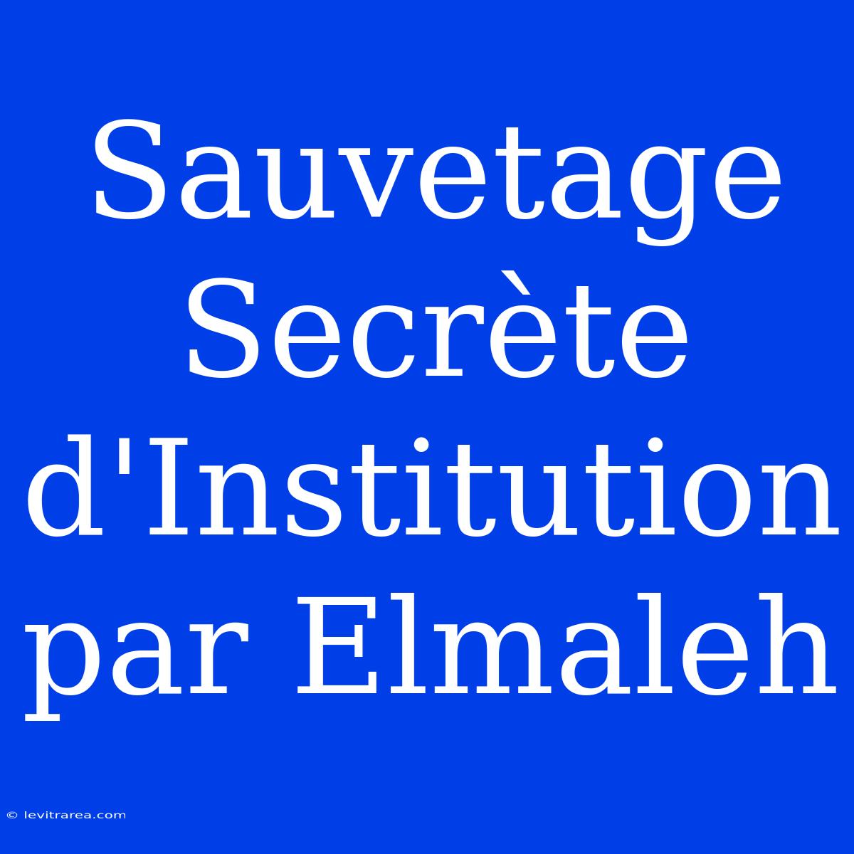 Sauvetage Secrète D'Institution Par Elmaleh