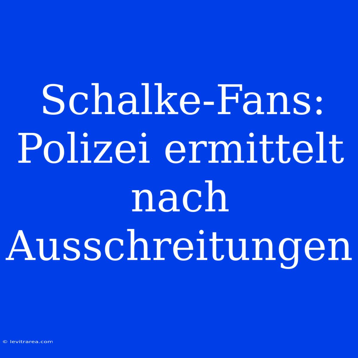 Schalke-Fans: Polizei Ermittelt Nach Ausschreitungen