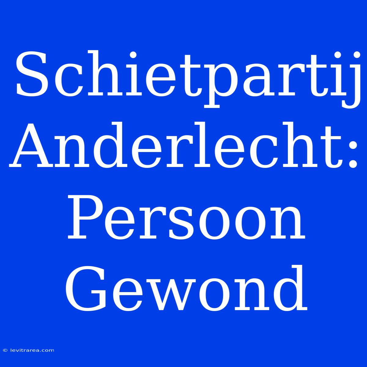 Schietpartij Anderlecht: Persoon Gewond