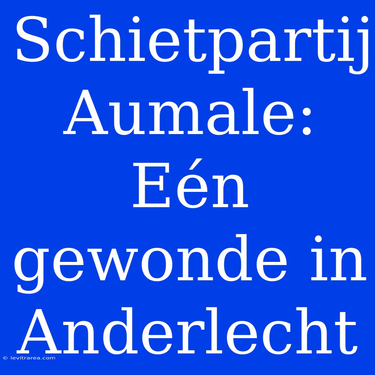 Schietpartij Aumale: Eén Gewonde In Anderlecht