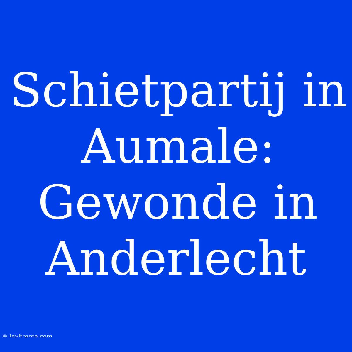 Schietpartij In Aumale: Gewonde In Anderlecht