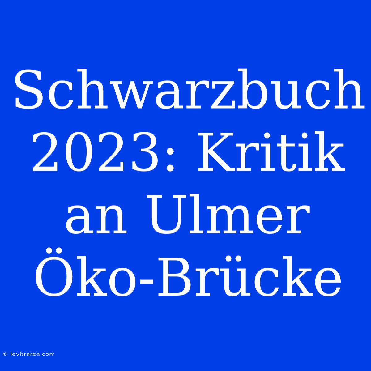 Schwarzbuch 2023: Kritik An Ulmer Öko-Brücke 