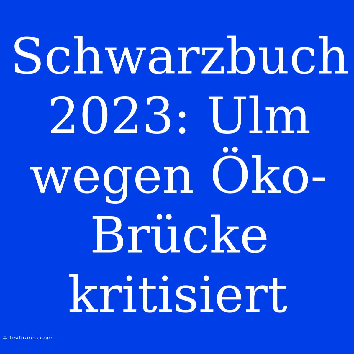 Schwarzbuch 2023: Ulm Wegen Öko-Brücke Kritisiert