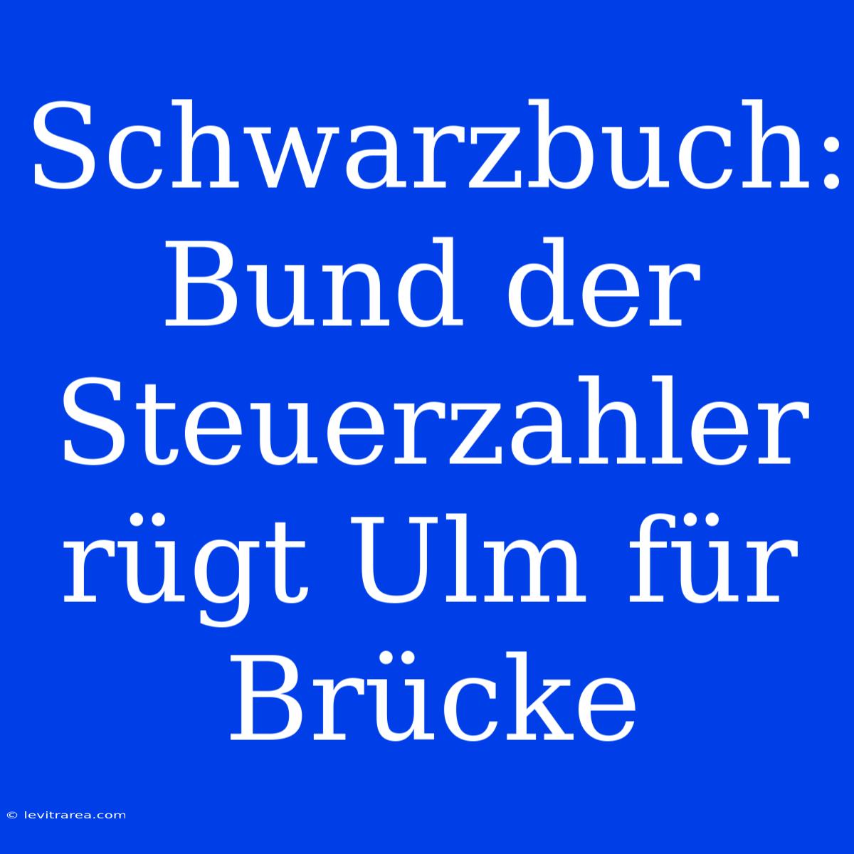 Schwarzbuch: Bund Der Steuerzahler Rügt Ulm Für Brücke