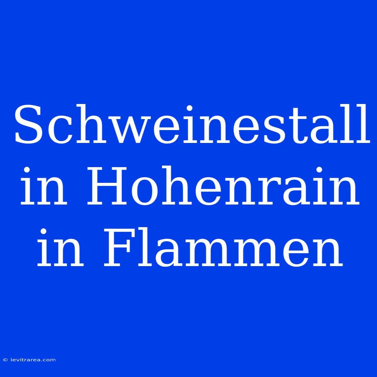 Schweinestall In Hohenrain In Flammen