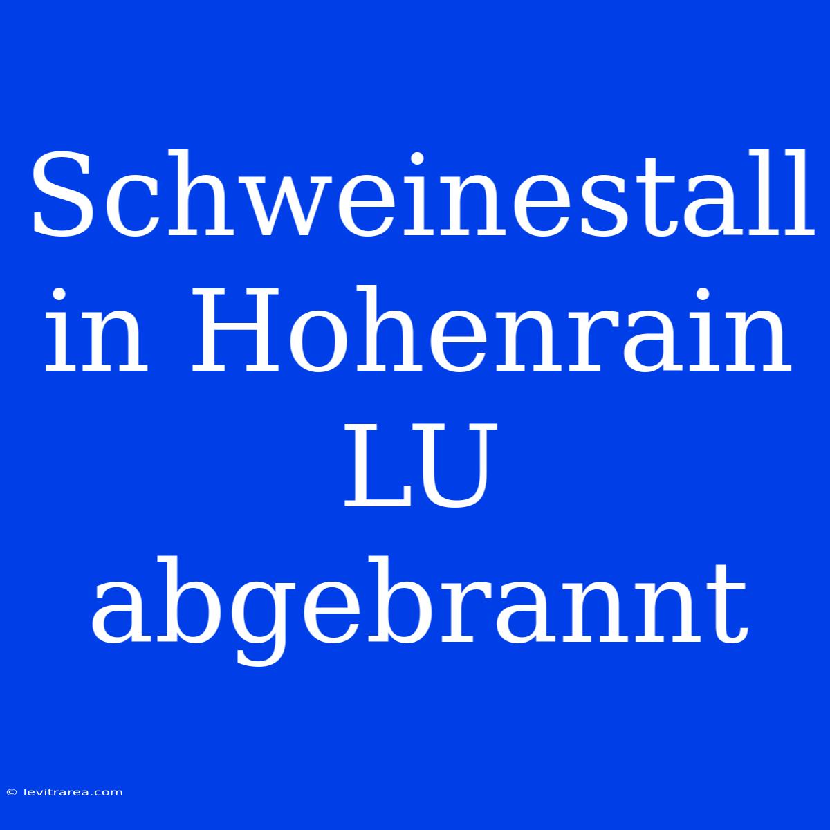 Schweinestall In Hohenrain LU Abgebrannt