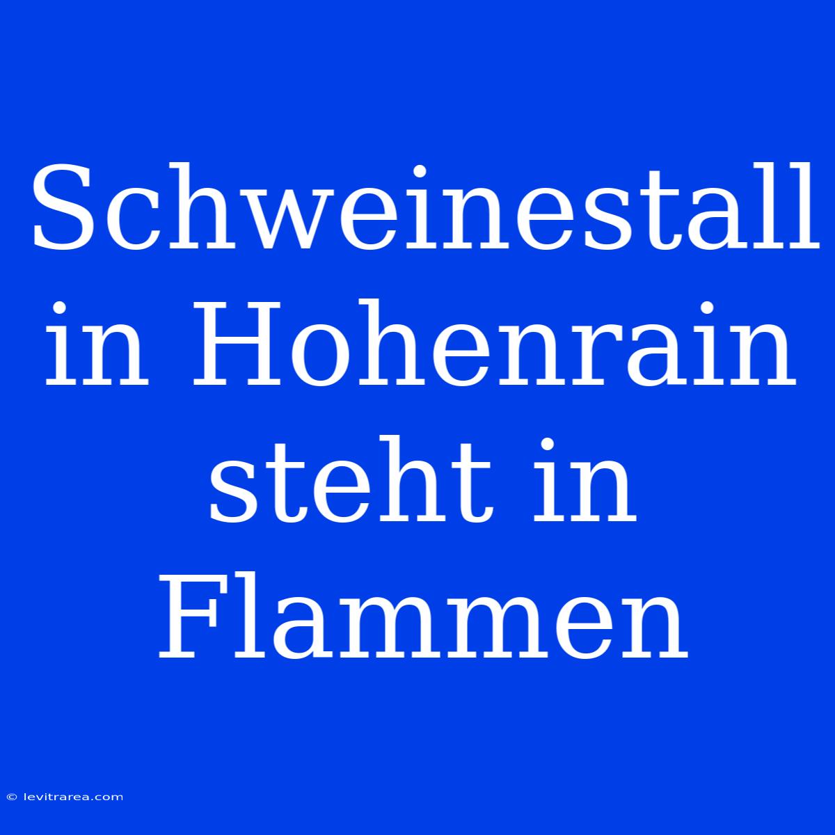 Schweinestall In Hohenrain Steht In Flammen