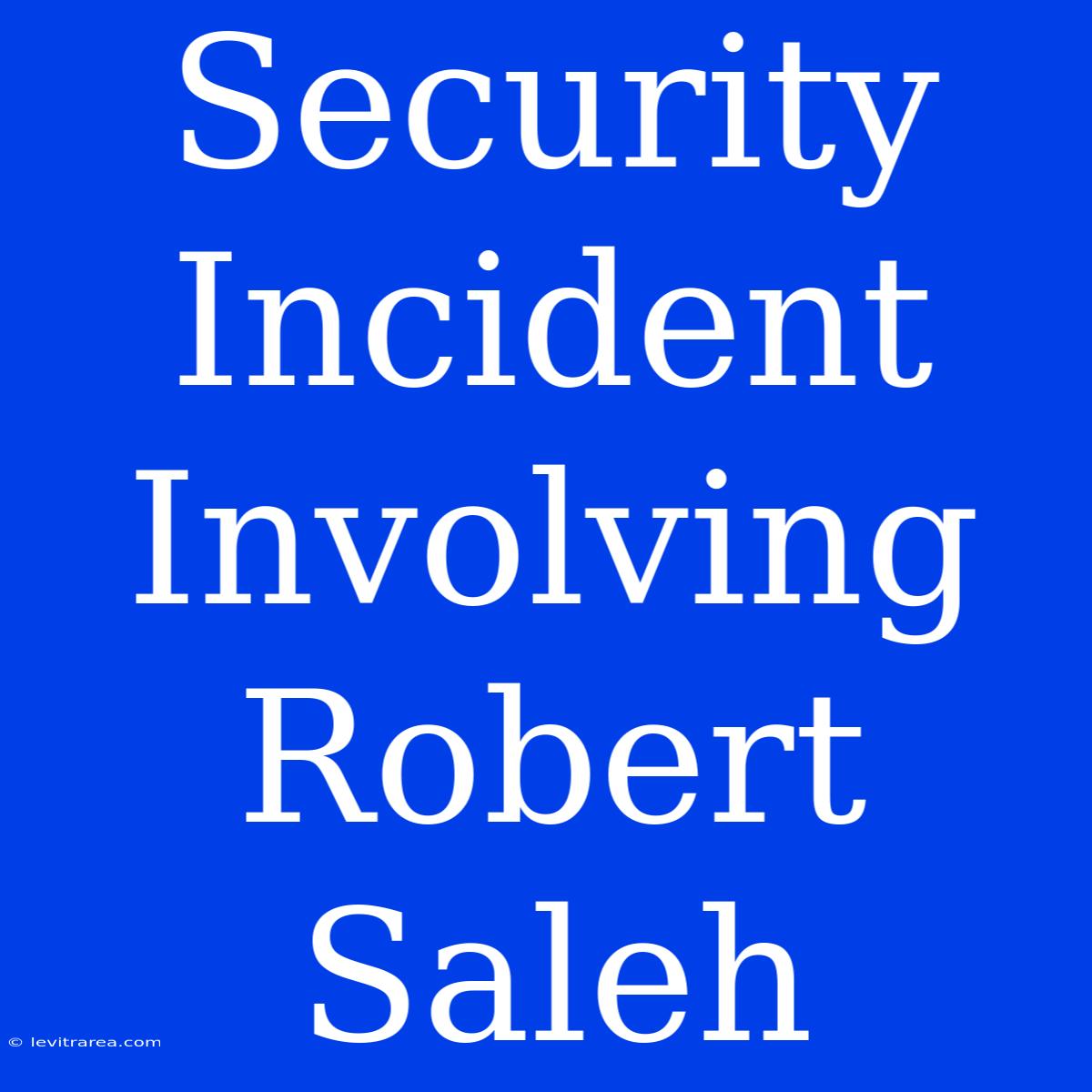 Security Incident Involving Robert Saleh